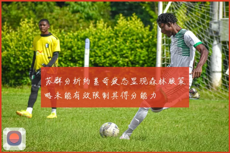 苏群分析约基奇疲态显现森林狼策略未能有效限制其得分能力